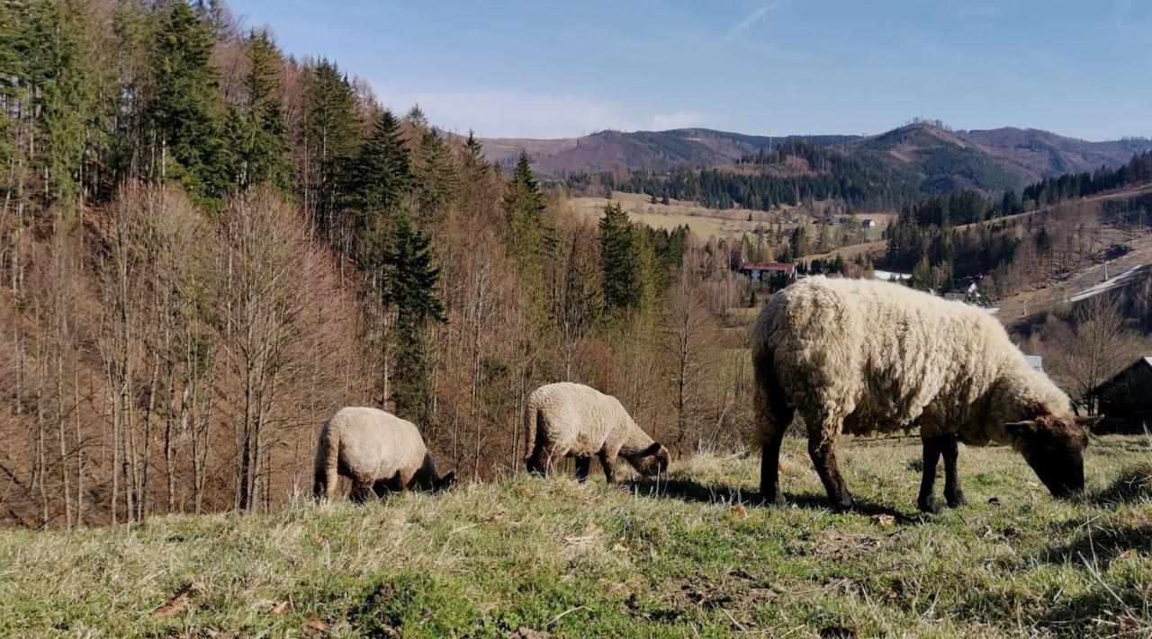 Penzion Rzehaczek Dolní Lomná Kültér fotó