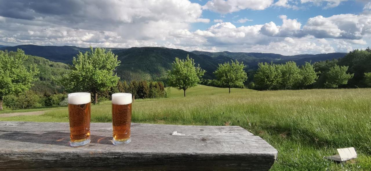 Penzion Rzehaczek Dolní Lomná Kültér fotó